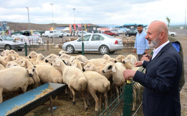 BÖLGENİN EN BÜYÜK KESİM VE SATIŞ YERİ YİNE KOCASİNAN’DA HAZIRLANDI