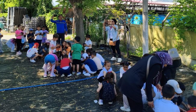 BÜYÜKŞEHİR, 300 FİDANI TOPRAKLA BULUŞTURDU