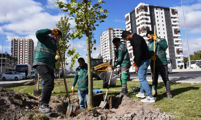 KOCASİNAN BELEDİYESİ, ON BİNLERCE AĞAÇ VE FİDANI TOPRAKLA BULUŞTURUYOR