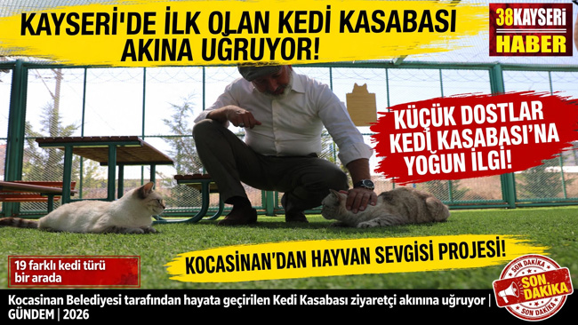 KAYSERİ’DE İLK OLAN ‘KÜÇÜK DOSTLAR KEDİ KASABASI’ ZİYARETÇİ AKININA UĞRUYOR  KOCASİNAN, ÇOCUKLARA HAYVAN SEVGİSİ AŞILIYOR