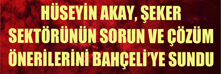 Hüseyin Akay, Şeker Sektörünün Sorun ve Çözüm Önerilerini Bahçeli’ye Sundu