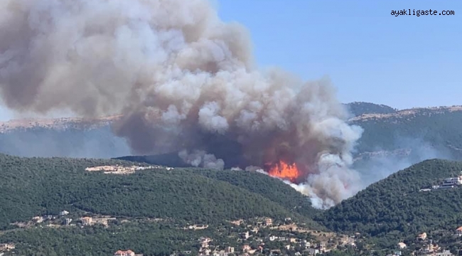 Lübnan'da korkutan orman yangını