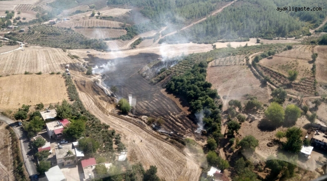Osmaniye'de anız yangını ormanlık alana sıçradı