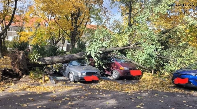 Polonya'da şiddetli fırtına: 4 ölü, 18 yaralı