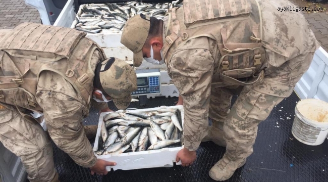 Nazik Gölü'nde kaçak avlanan 425 kilogram balığa el konuldu