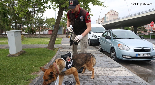 Kayseri'de İz Takip Köpeği "Reks" Kayıpların Bulunmasında Önemli Rol Üstleniyor